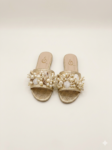 Gold Shell Steppy